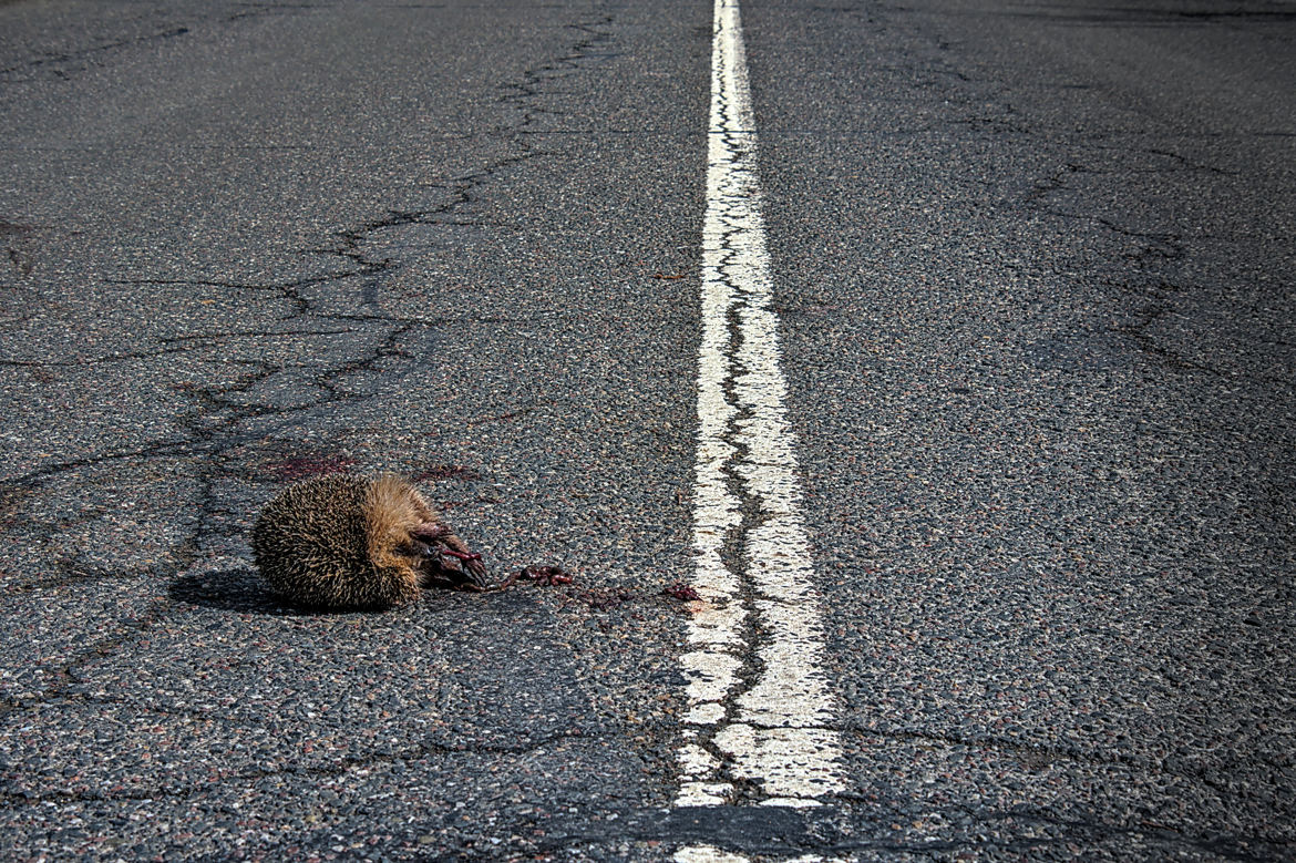 Gloire à qui freine à mort...