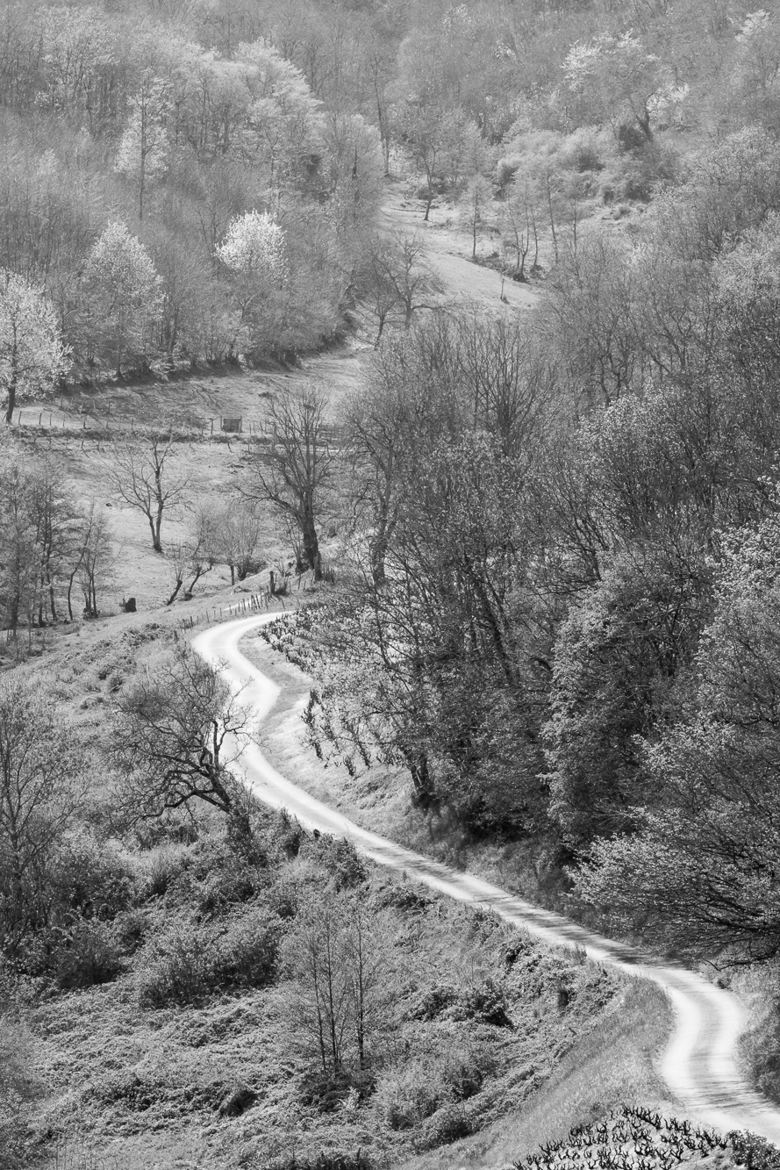 Un chemin qui chemine...