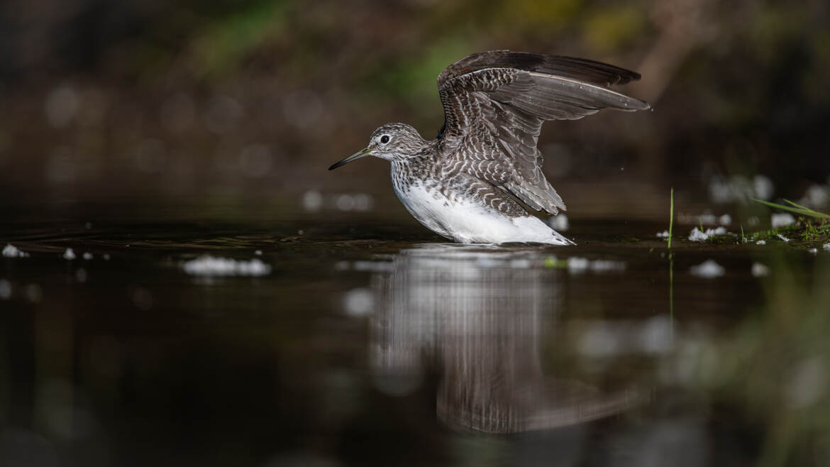 Préparation au décollage