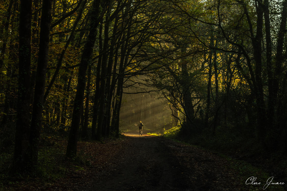 Footing rayonnant