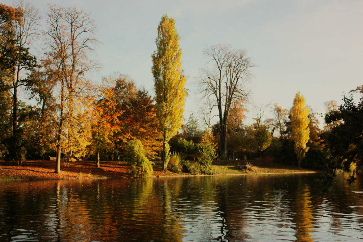 Bord du lac