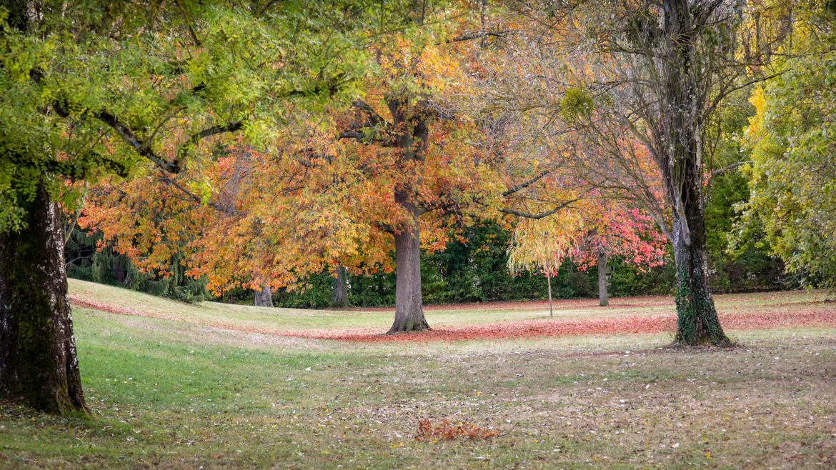 Paysage automnal tourangeau