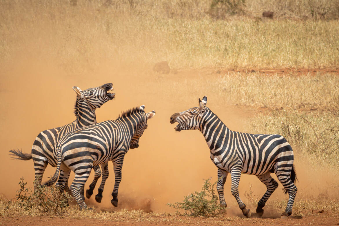 Ca s'arrange pas l'ambiance
