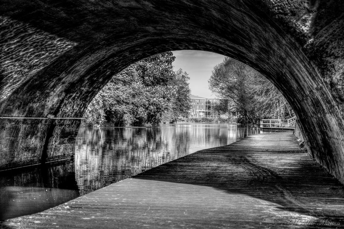 Toujours sous les ponts !