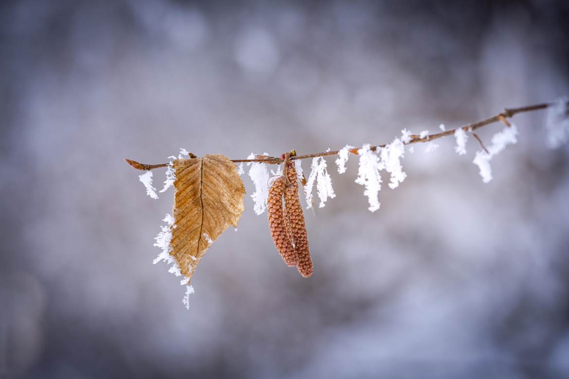 Le retour du froid