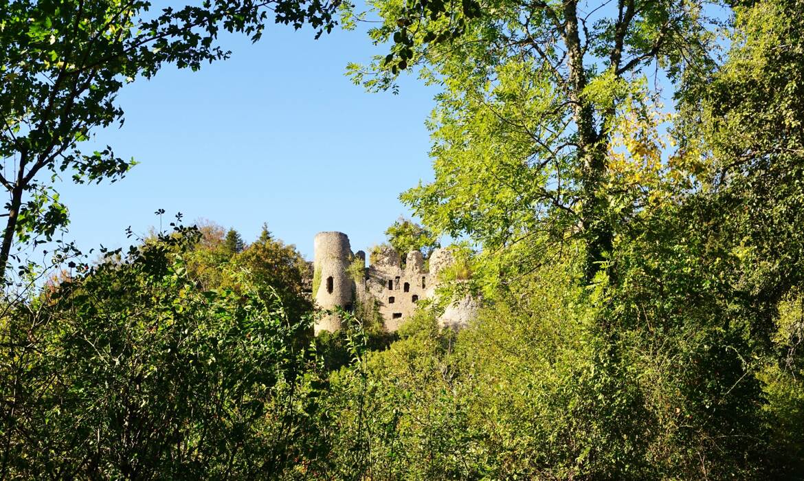 Le château du Morimont