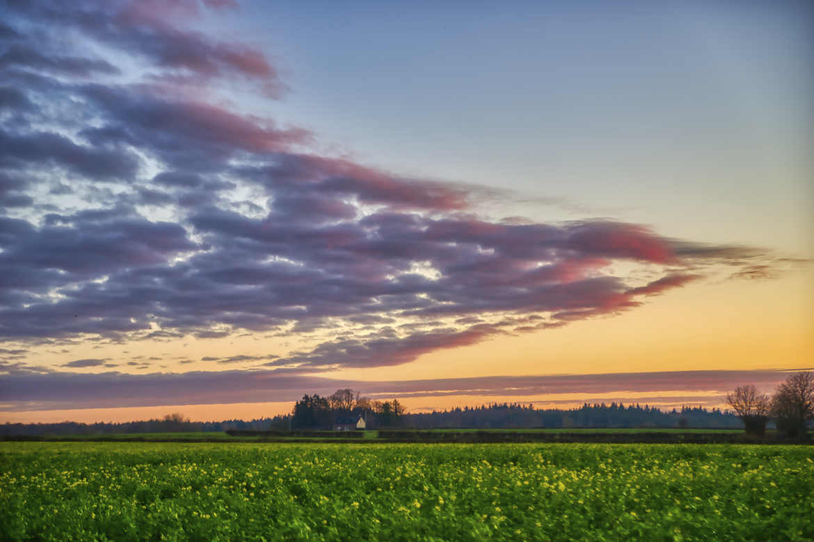 Matin coloré