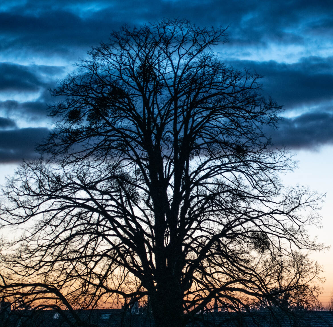 Ciel du matin