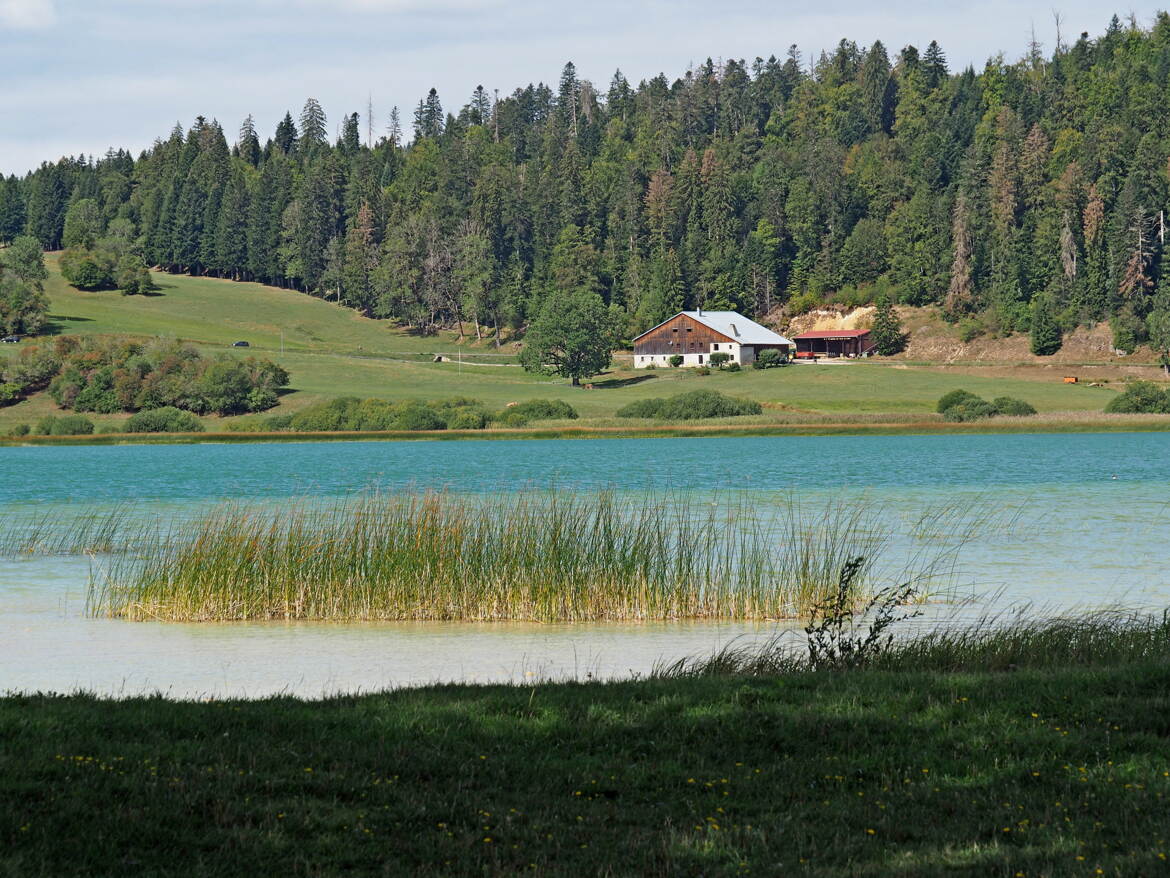 Doux paysage du Doubs