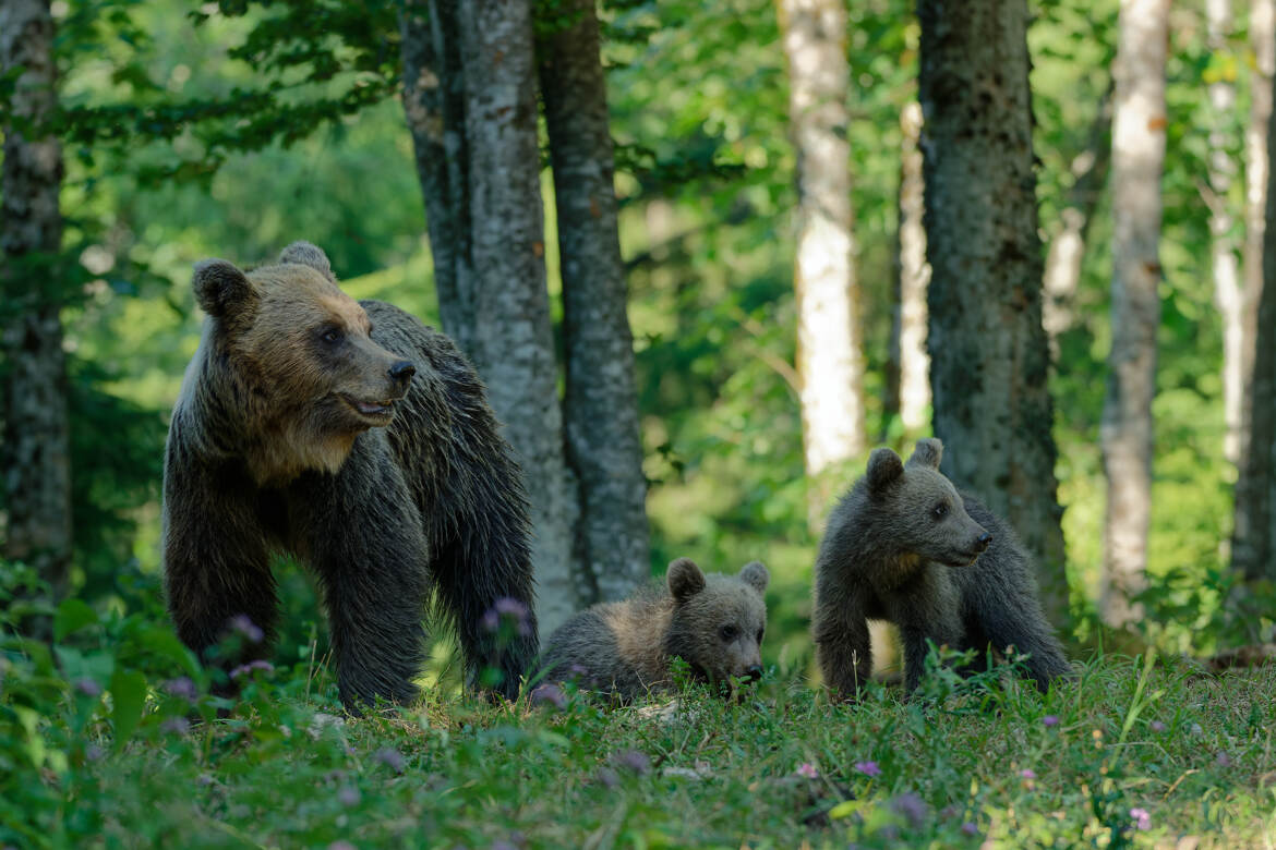 La famille réunie.