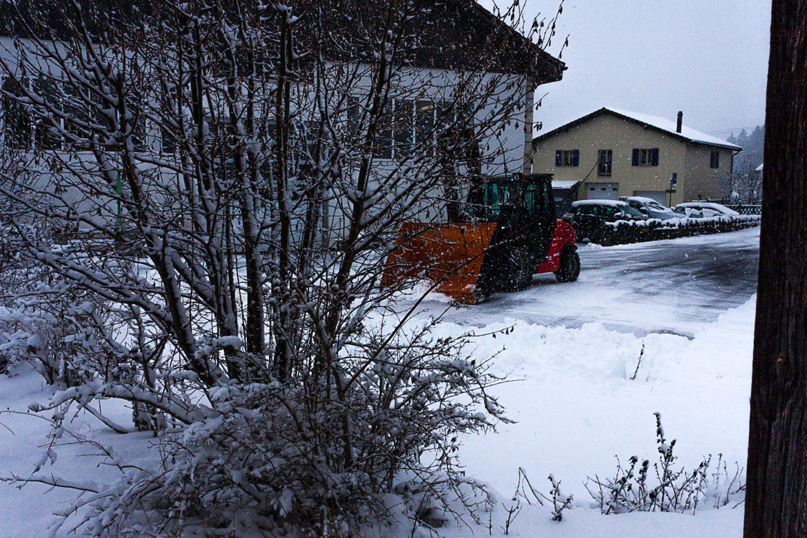 Première neige