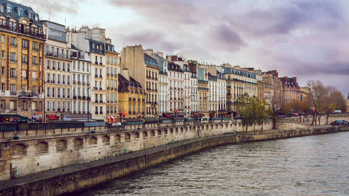 Seine dans la scène