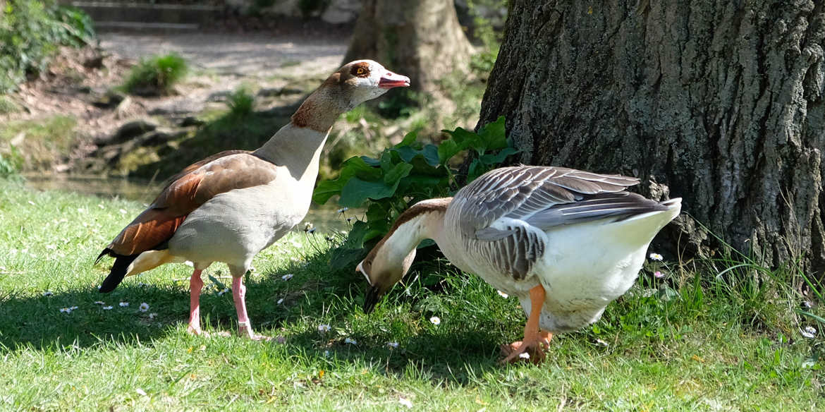 Suis-je à votre goût Madame ?