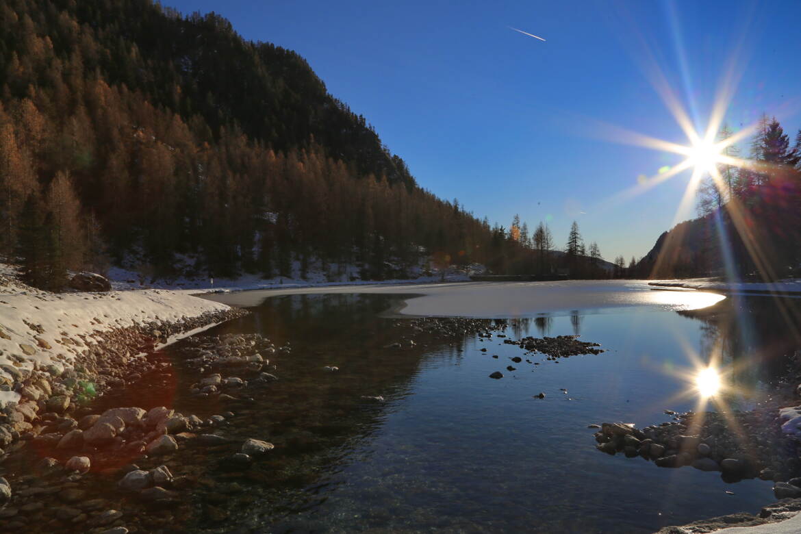 Je te regarde, je t’observe avec émerveillement.