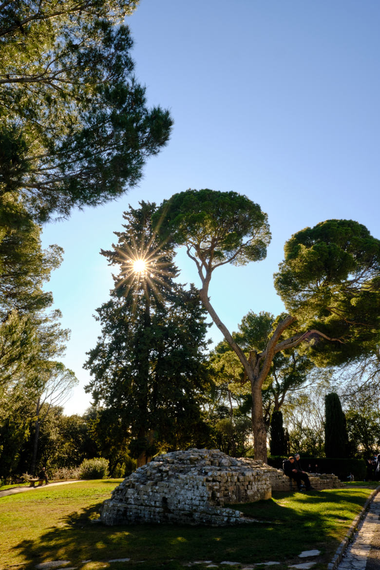Les jardins de Nîmes.