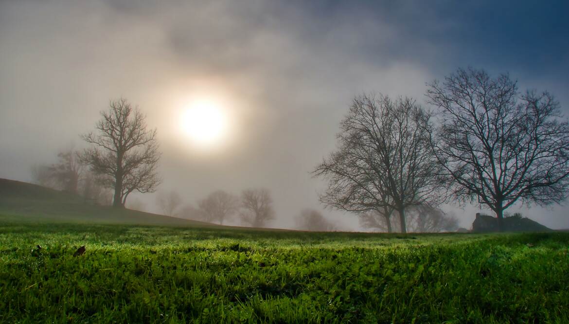 Brume matinale !