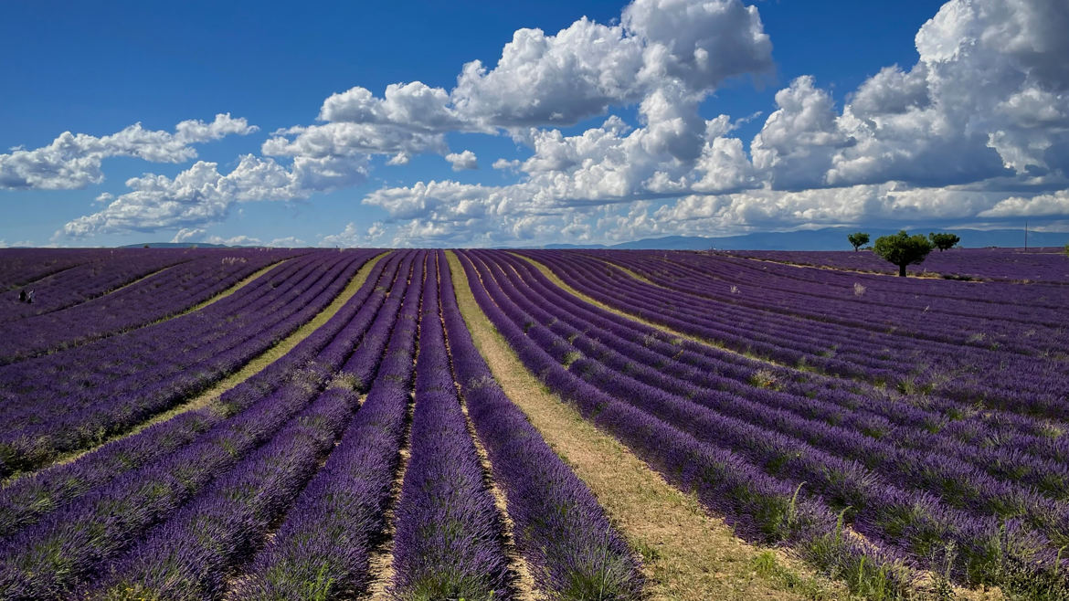 Ciel de Provence.