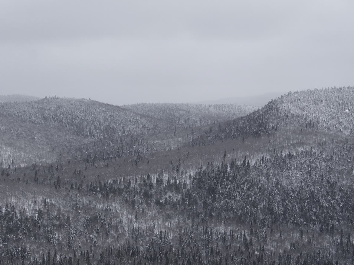 Avant la tempête