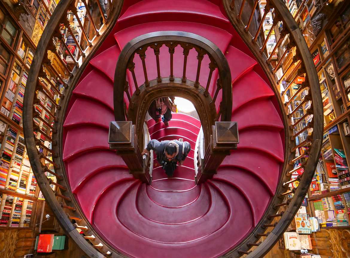 Les escaliers de la librairie