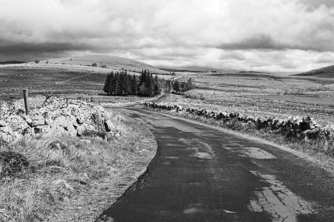 Plateau de L'Aubrac