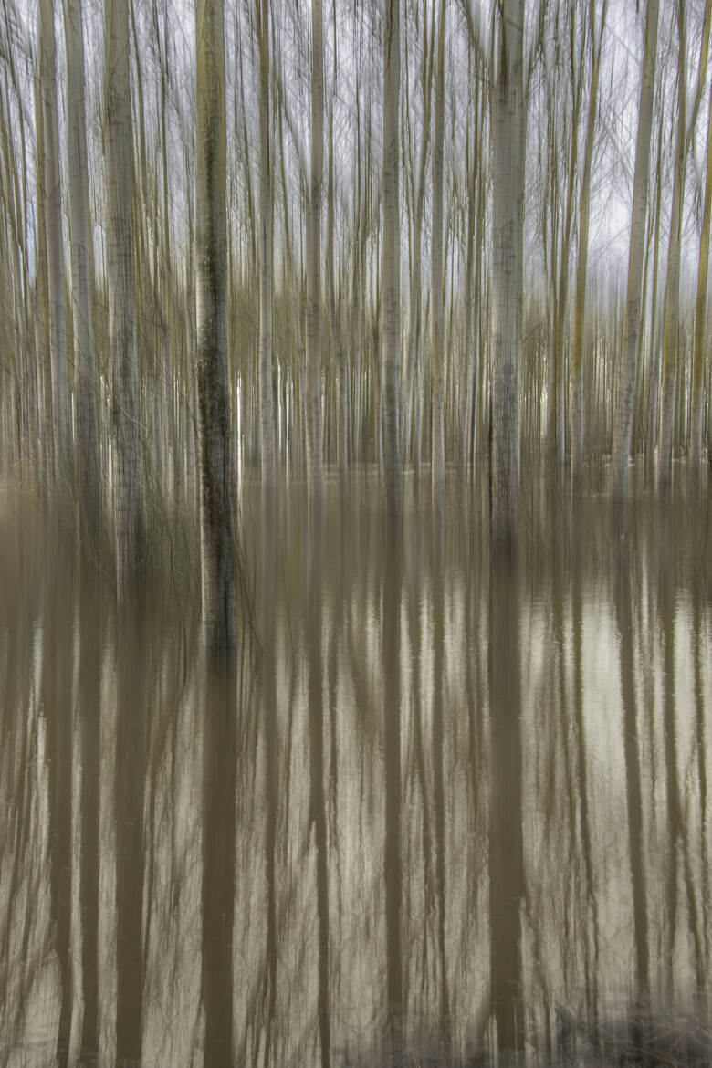 Lorsque les cours d 'eau déborde