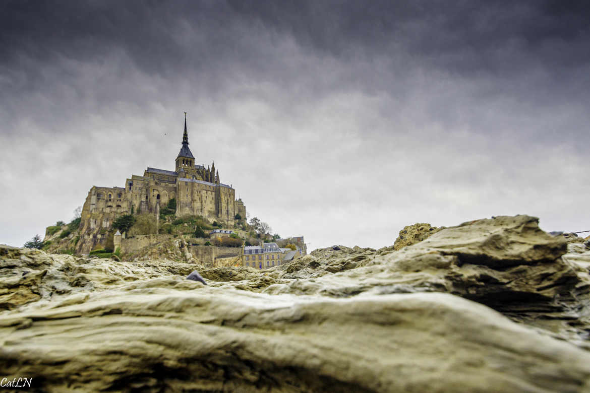 Mont Saint Michel ras de terre