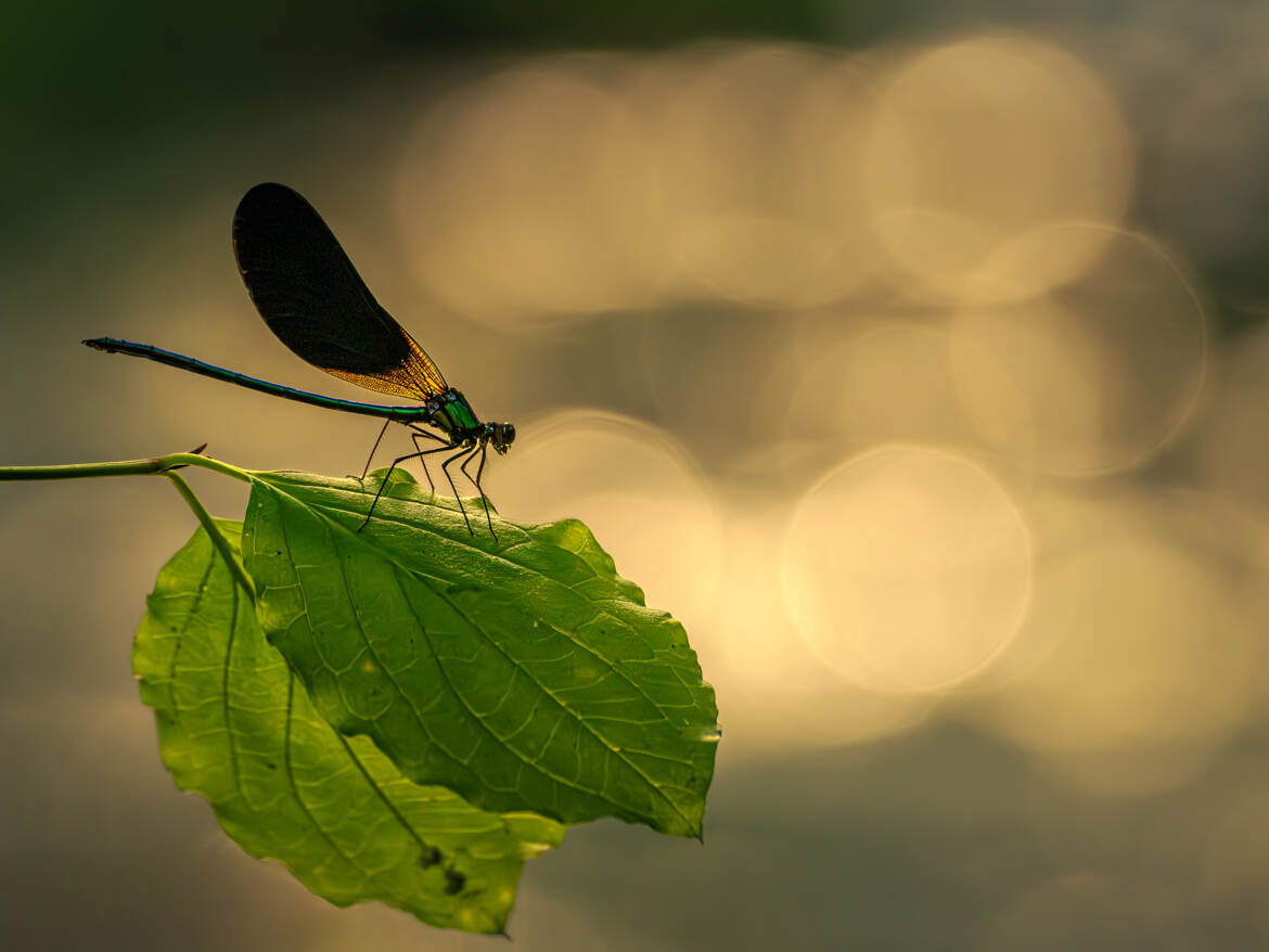 Première photo de vacance