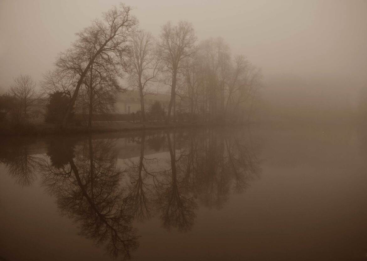 Brouillard d'hiver