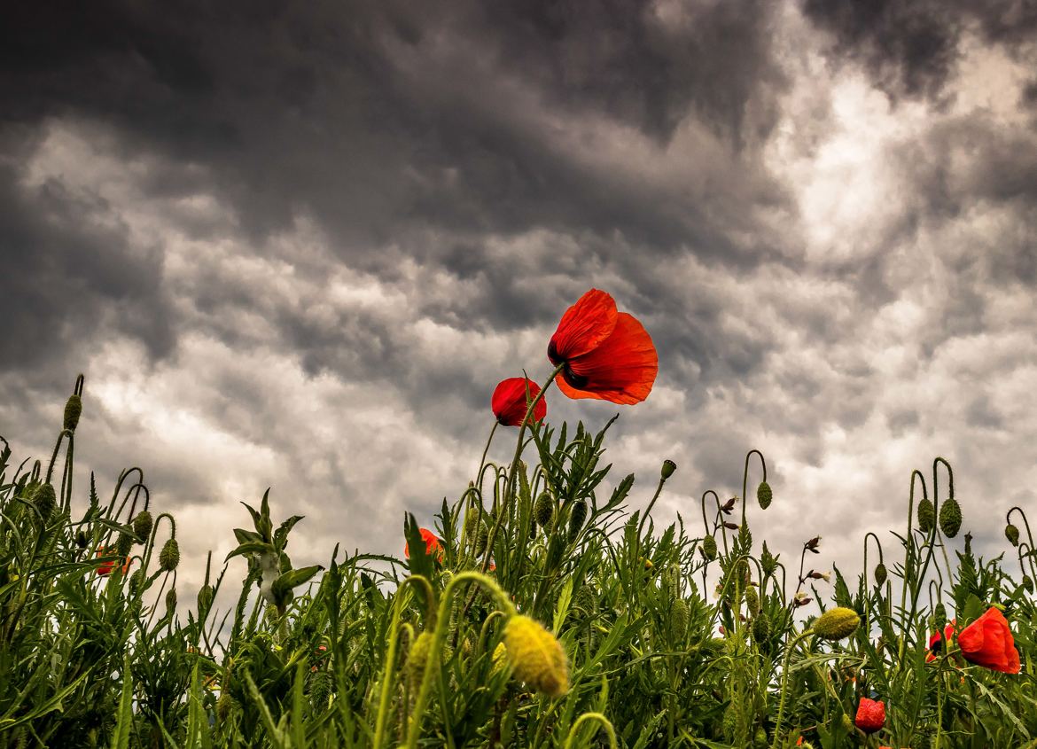 Sous les nuages