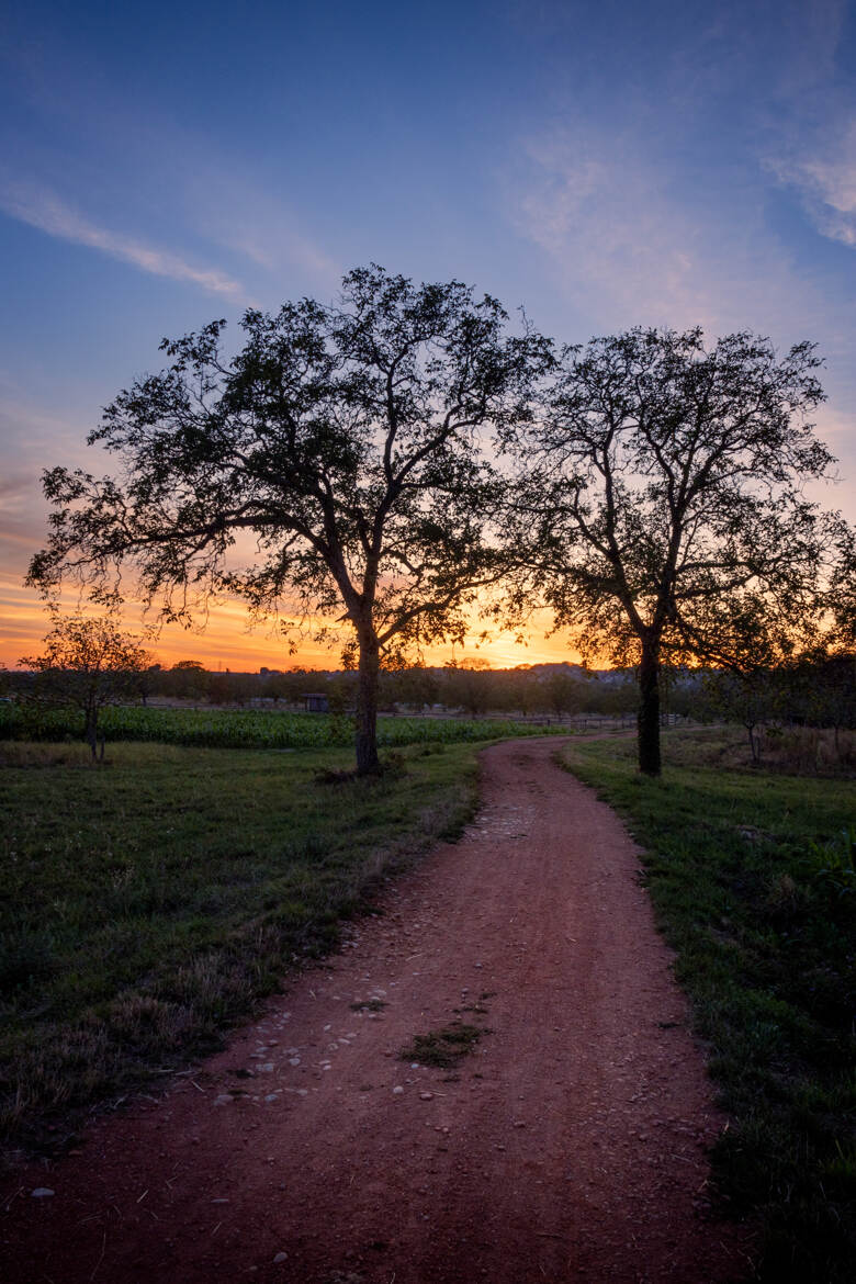 Le chemin du coucher