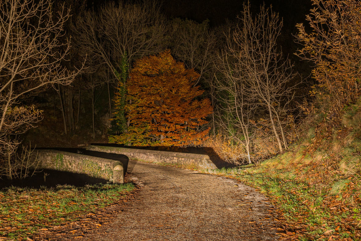 Le vieux pont