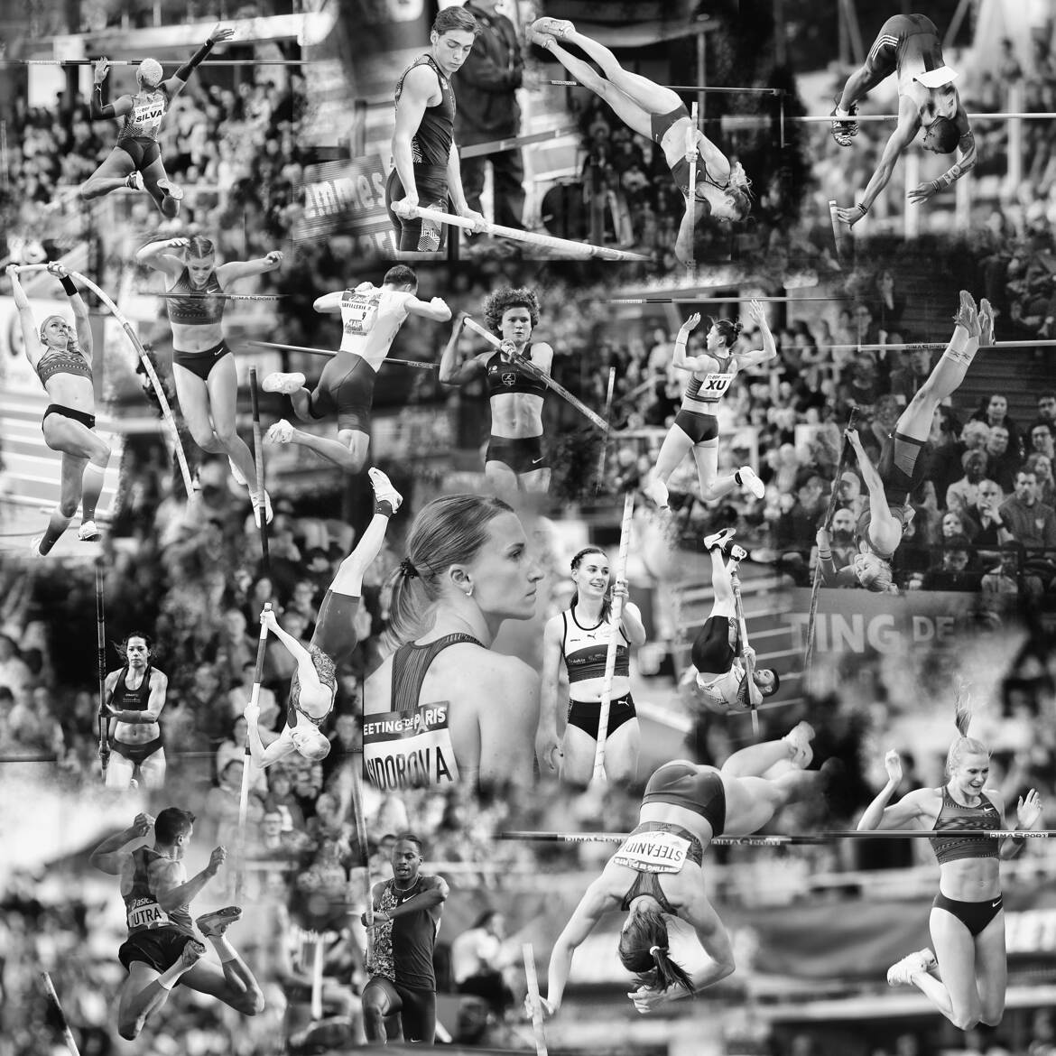 Famille des perchistes