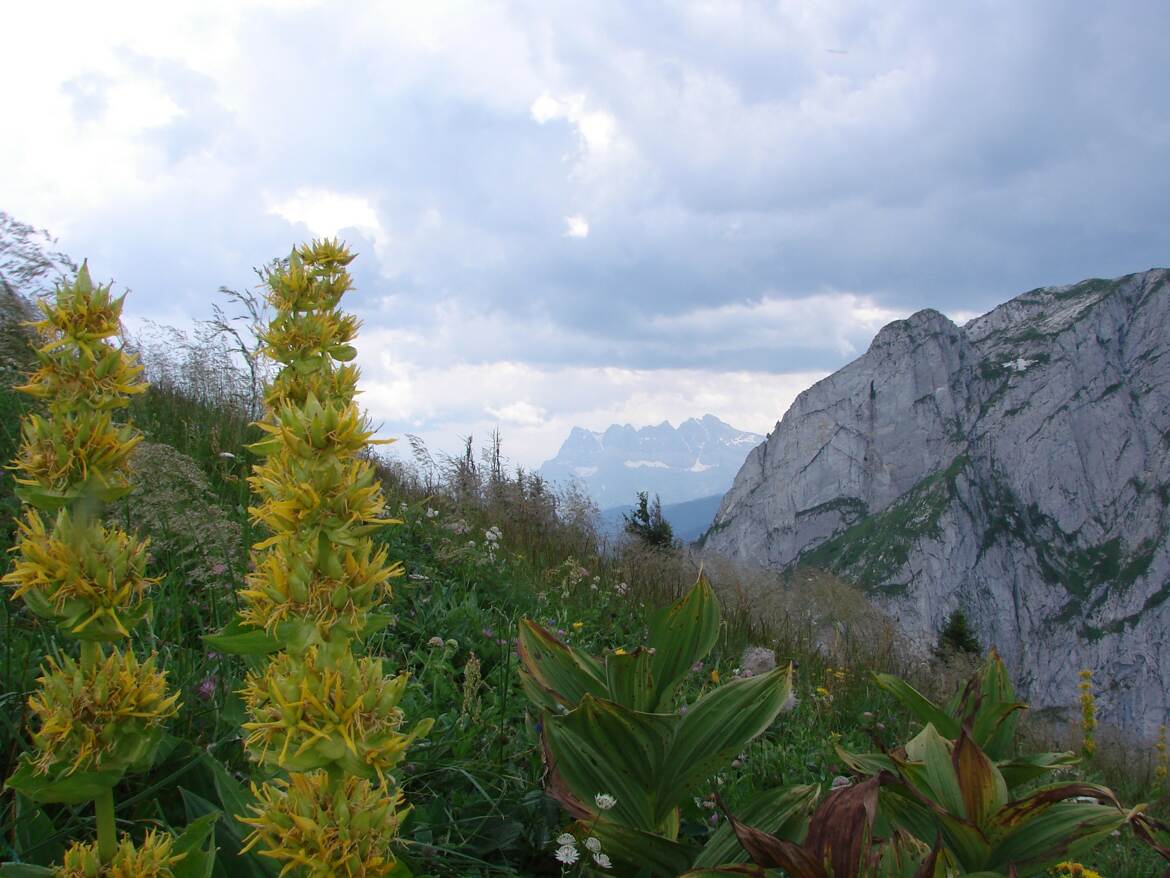 Lire les signes de la nature