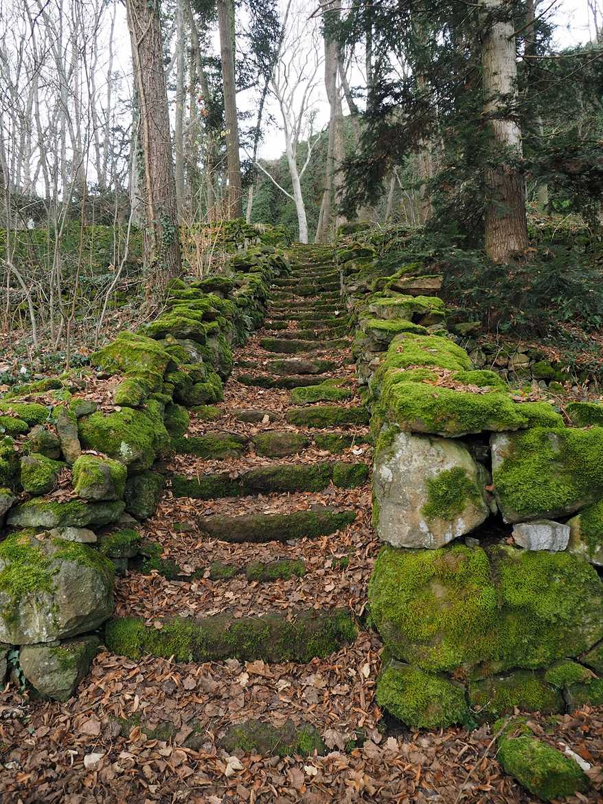 Le Bois des Seigneurs !