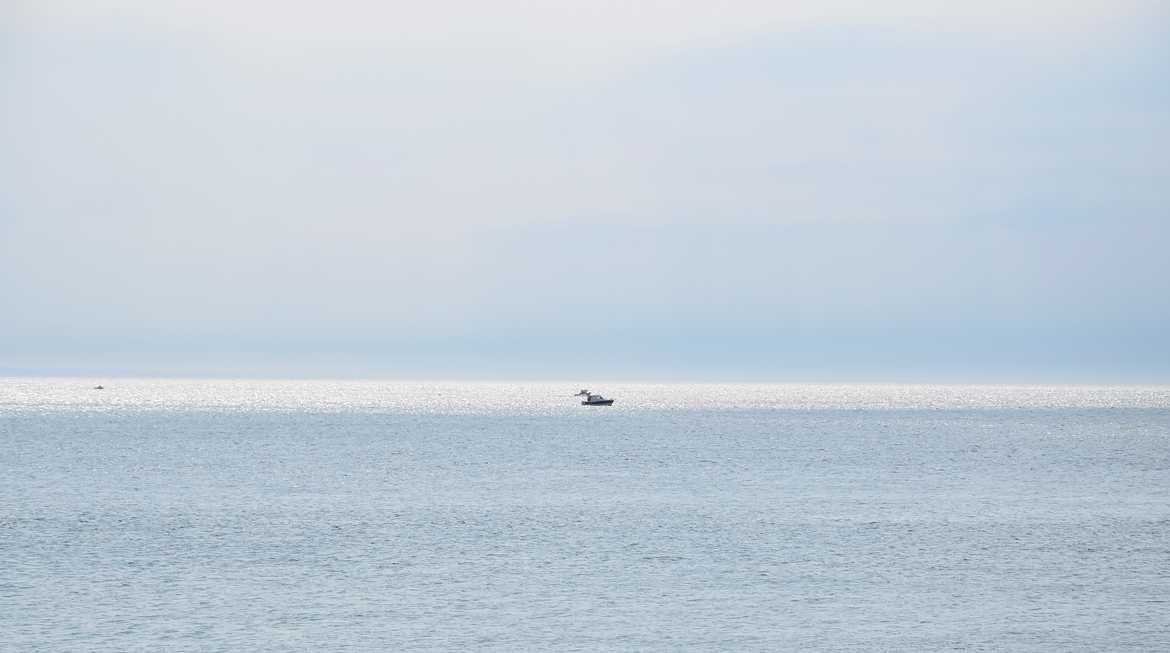 cet argent là fait mon bonheur