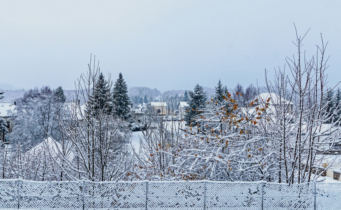 Première neige