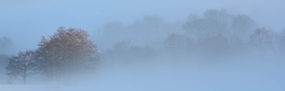 Le brouillard beau et mystérieux (2)