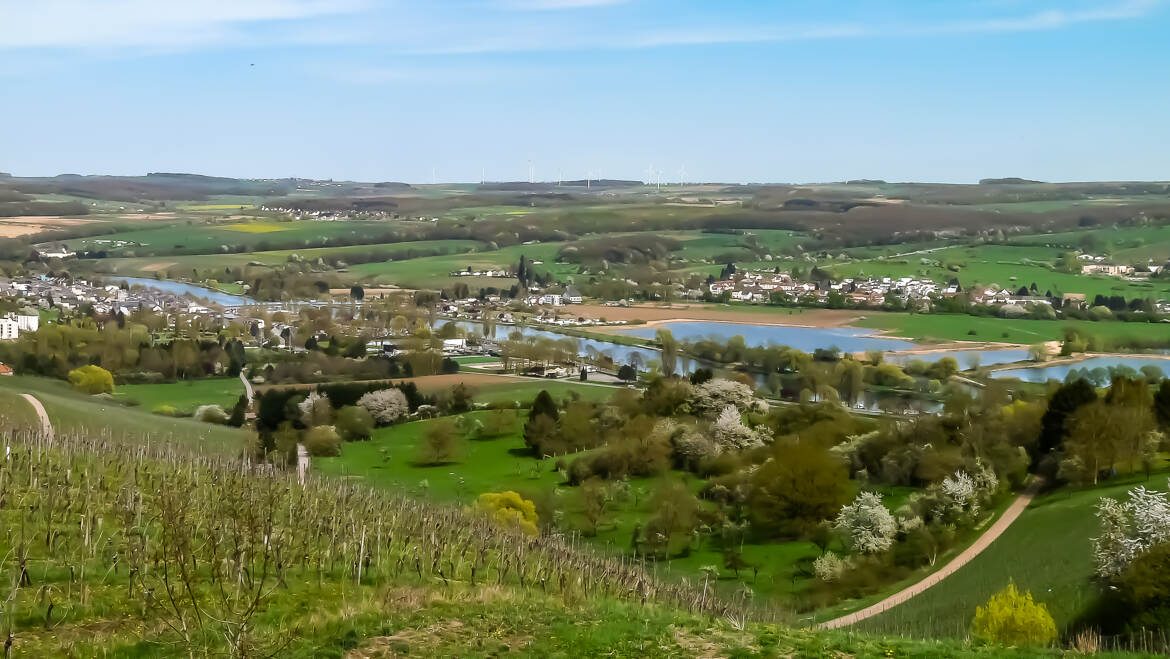 Vallée de la Moselle