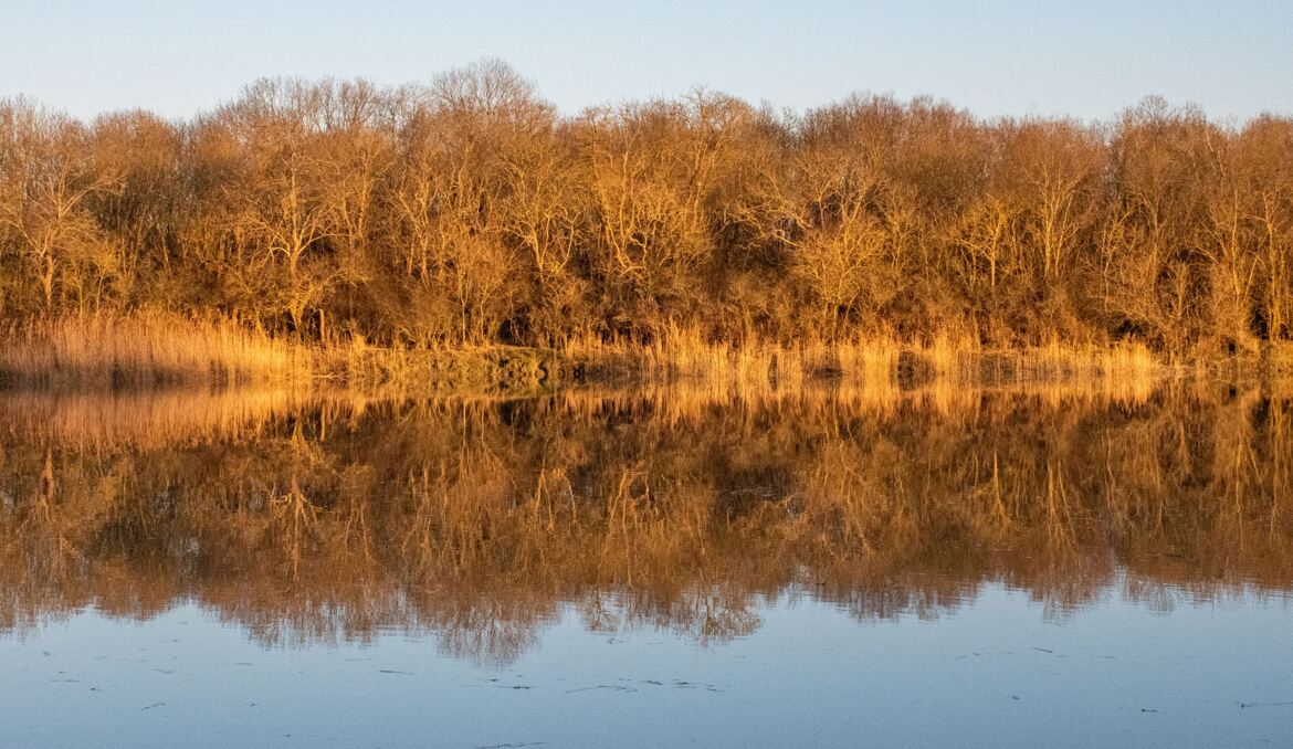 Rive impressionniste