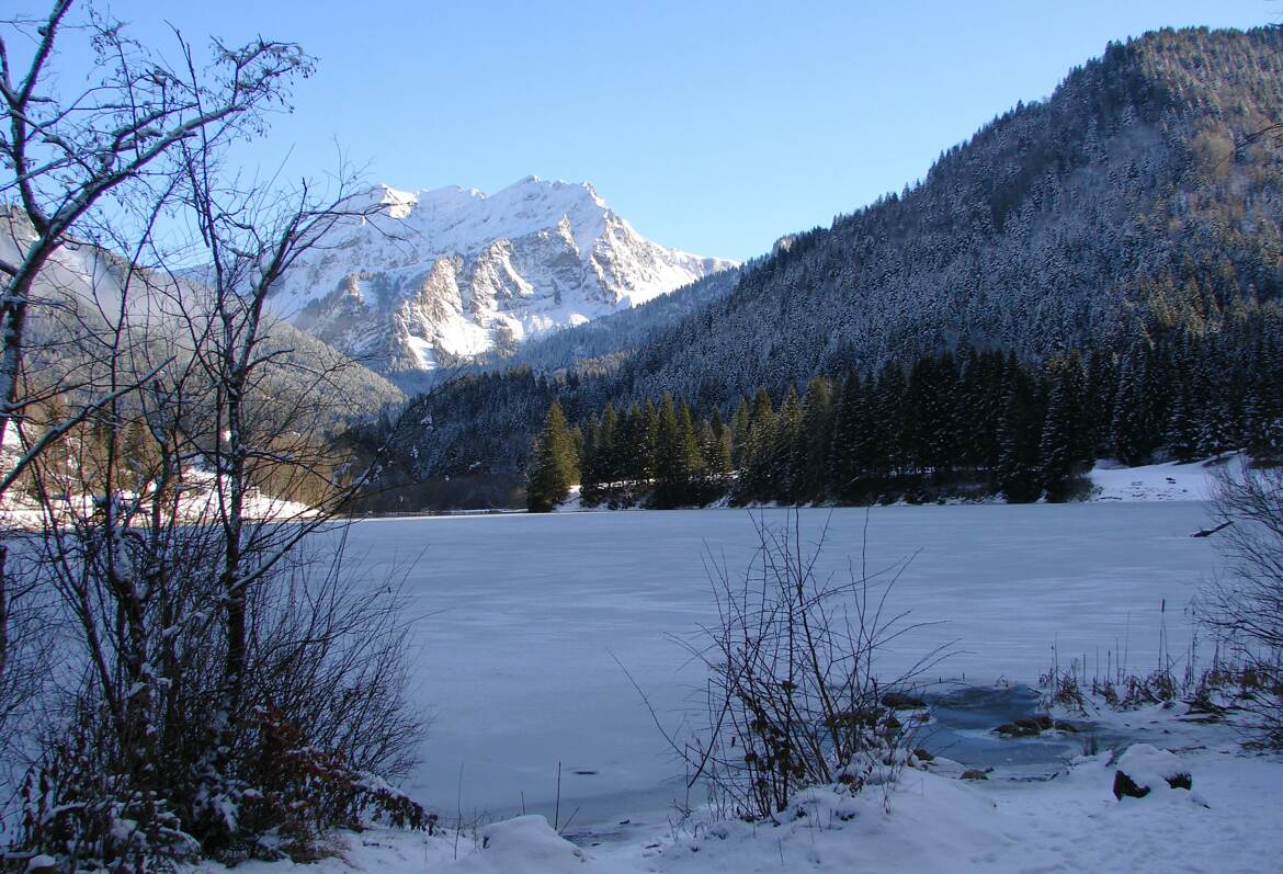 Entre ombre et lumière...