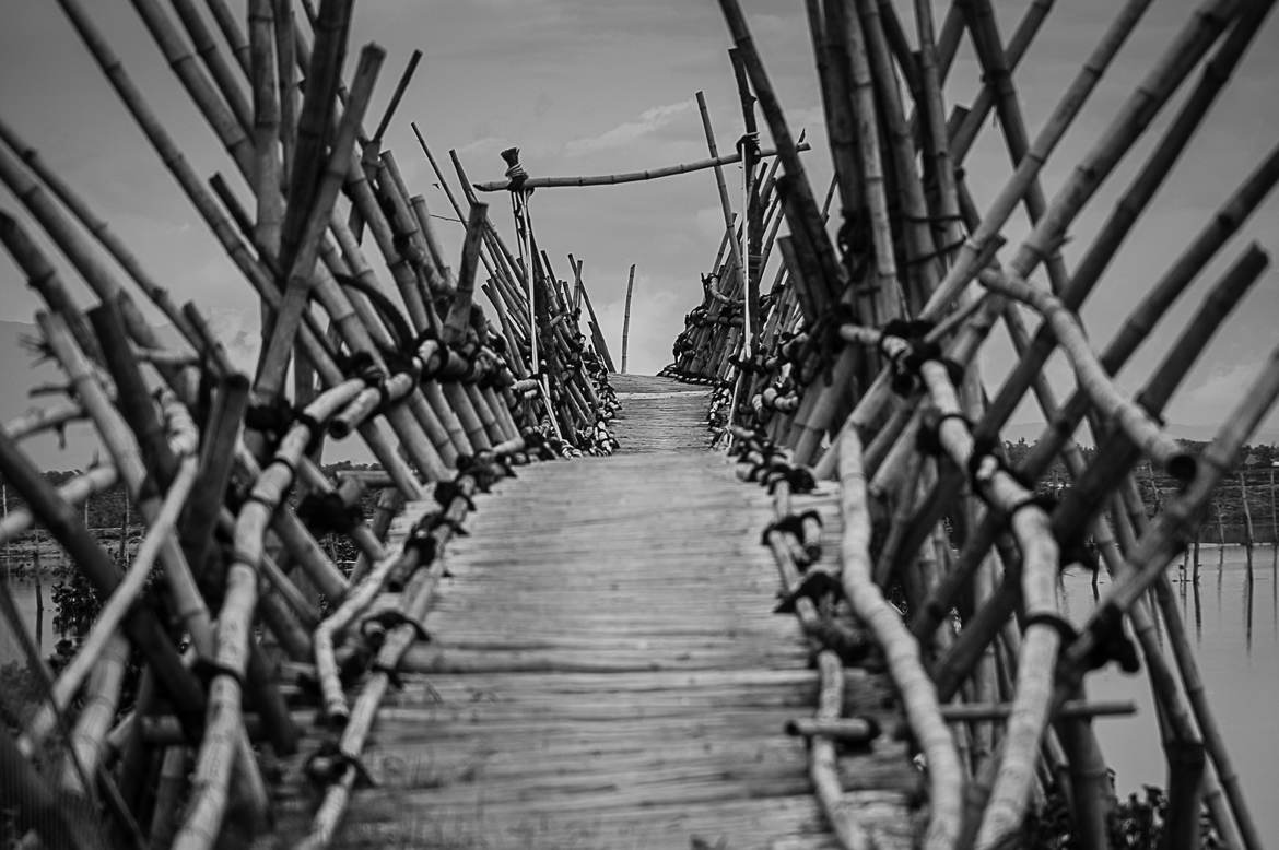 Bamboo bridge