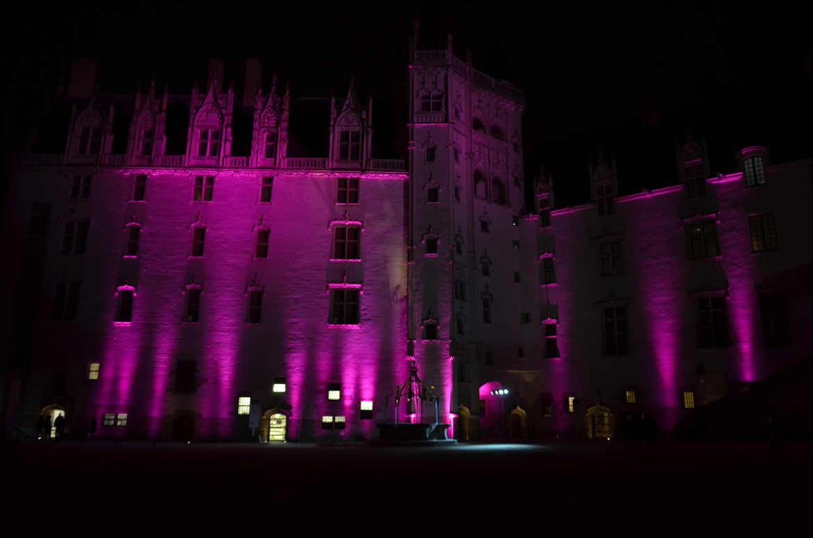 Chateau Anne de Bretagne