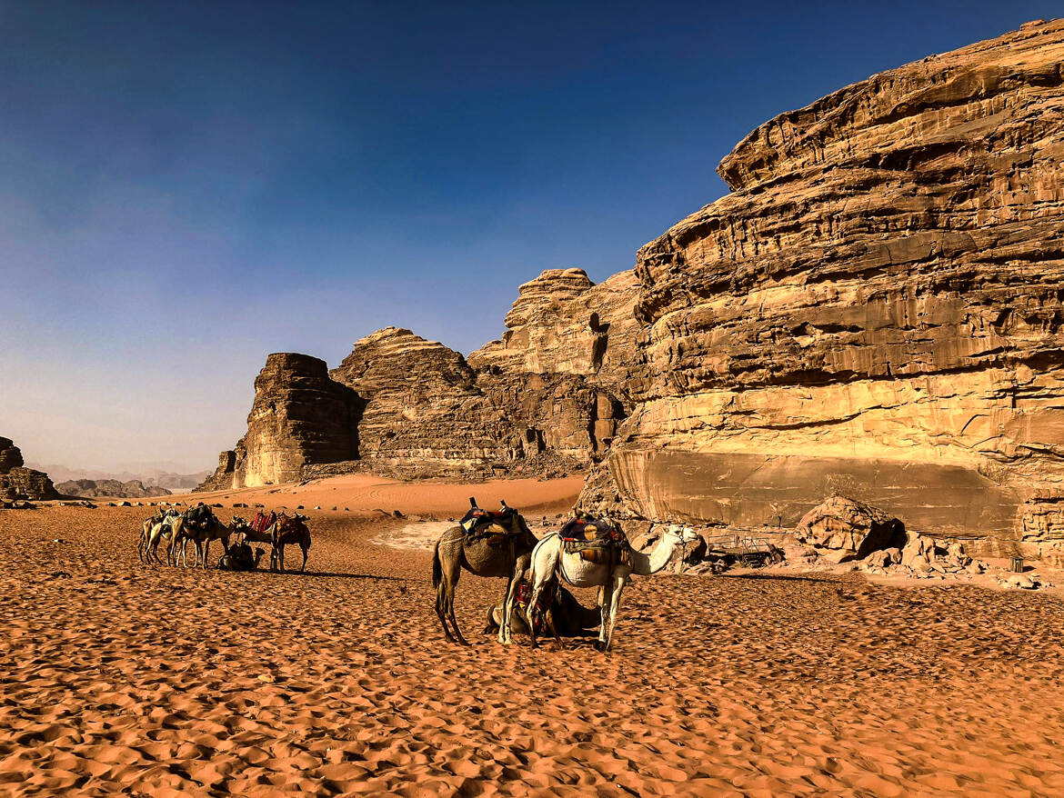 Superbe visite d'un autre monde