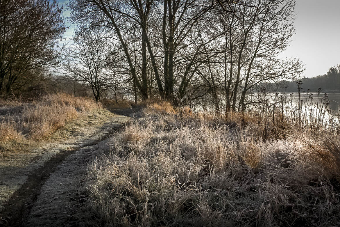 Matin de givre