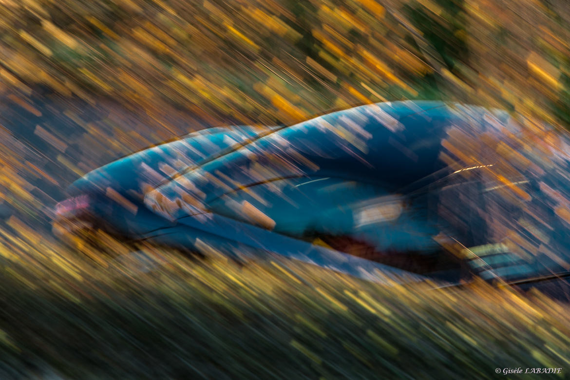 Passage forcé dans feuillage automnal