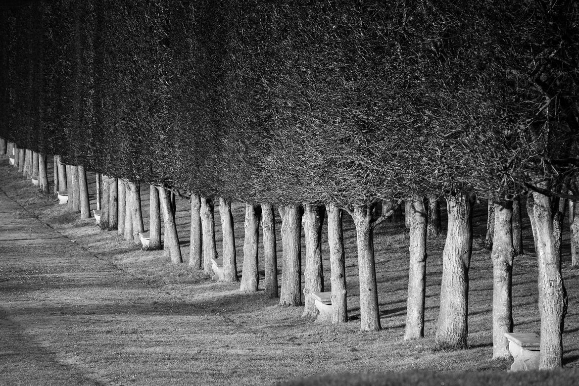 le long de l'allée