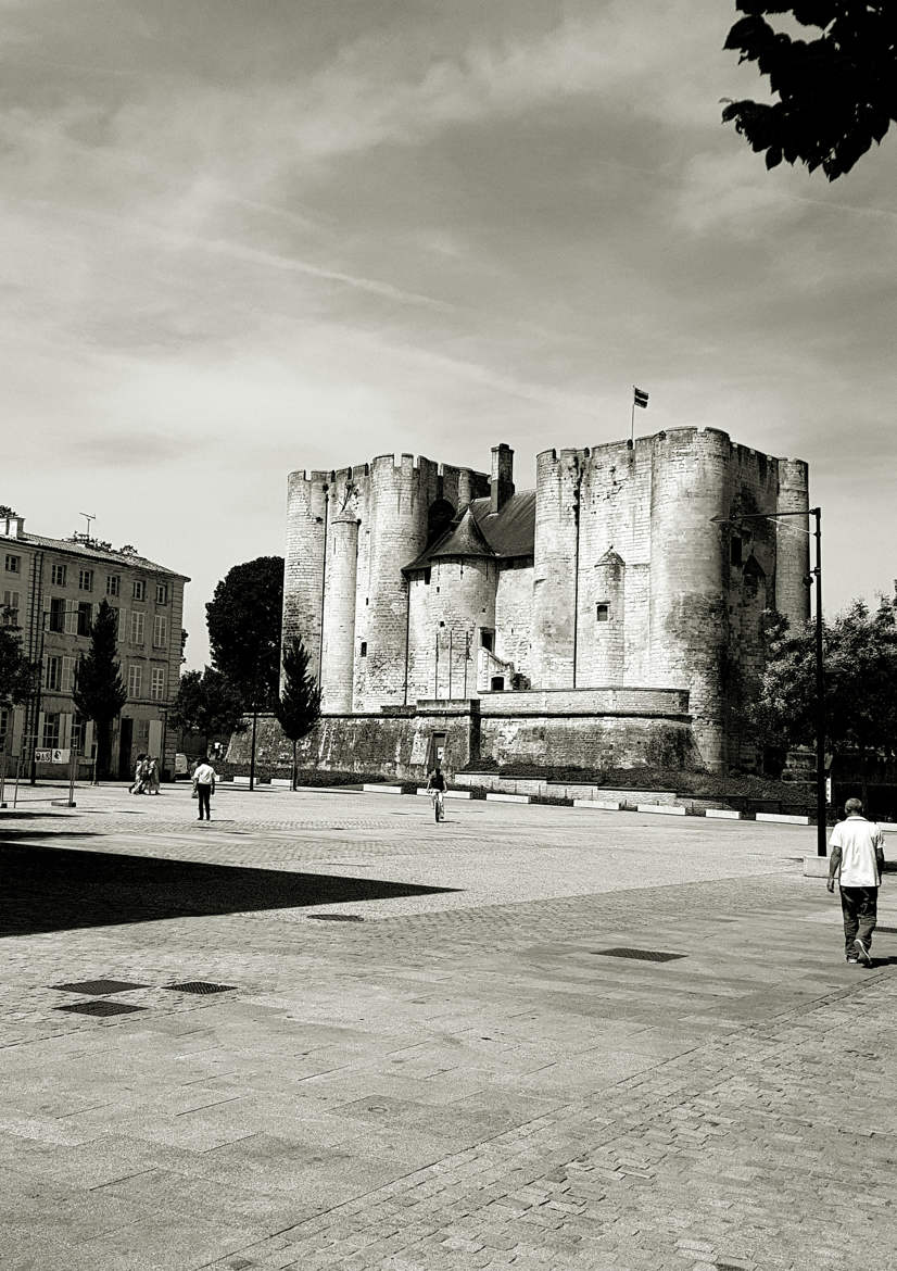 Chateau de Niort