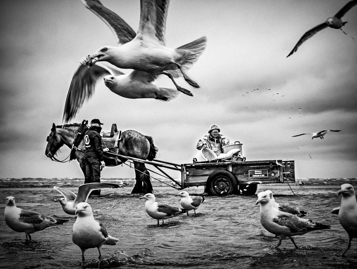 Retour de la pêche......