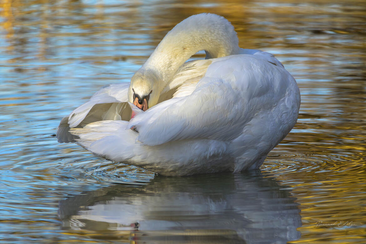 T'as de beaux yeux tu sais.
