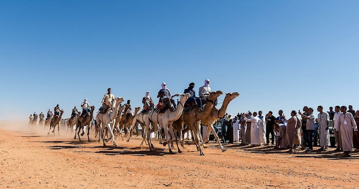 Course de Méharis II